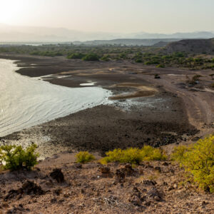 Tales of the Djibouti By Camille Massida